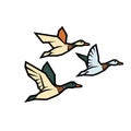 Geometric Flying Ducks Vector Illustration Royalty Free Stock Photo
