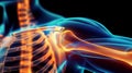 Dynamic visualization of shoulder anatomy with radiant energy fields. Generative ai.