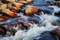 Dynamic water patterns in a river