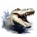 Dynamic Watercolor Illustration Of Aggressive Alligator In White Background