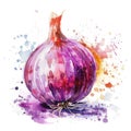 Dynamic watercolor illustration of a purple onion with energetic splashes of color