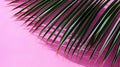 dynamism pink palm leaf