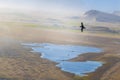 Dyrholaey - May 04, 2018: Wild Puffin bird in Dyrholaey, Iceland