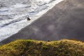 Dyrholaey - May 04, 2018: Wild Puffins in Dyrholaey, Iceland