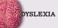dyslexia word next to a human brain model Royalty Free Stock Photo