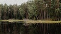 dystrophic lake in the middle of forest Royalty Free Stock Photo