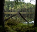 dystrophic lake in the middle of forest Royalty Free Stock Photo