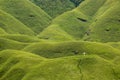 Dzuko valley, Nagaland, India Royalty Free Stock Photo