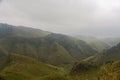 Dzukou valley, Nagaland.