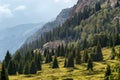 Dzungarian Alatau mountains, Kazakhstan