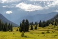 Dzungarian Alatau mountains, Kazakhstan Royalty Free Stock Photo