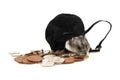 Dzungarian hamster and czech coins Royalty Free Stock Photo