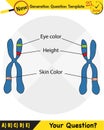 Biology, Heredity Combination, next generation question template