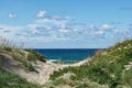 DÃÂ¼nenlandschaft  zwischen Liseleje Strand und Tisvildelje Strand, Seeland, DÃÂ¤nemark Royalty Free Stock Photo