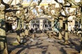 View over square with bare sycamore trees on typical german restaurant and beer garden with outdoor seats on sunny winter day
