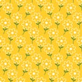 Hand drawn summer flower fields seamless pattern background. Doodle summer floral pattern. Cute flowers texture in cartoon style.