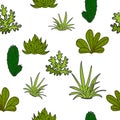 Seamless pattern with green leaves cactus, desert plants vector illustration isolated great for fabric, textile, gift wrapping Royalty Free Stock Photo
