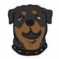 Rottweiler dog face cartoon vector Royalty Free Stock Photo