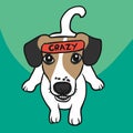 Jack Russell dog wear crazy word on headband cartoon illustration