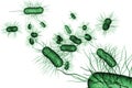 E.Coli Bacteria Cells 3D Illustration