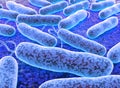 E coli Bacteria. vibrios type category. Royalty Free Stock Photo