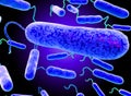 E coli Bacteria. vibrios type category. Royalty Free Stock Photo