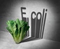 E coli Contaminated Food