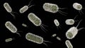 E. coli distribution at the microscopic level Royalty Free Stock Photo