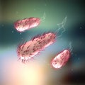 E.coli - Escherichia coli Royalty Free Stock Photo