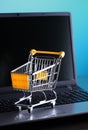 E-commerce shopping