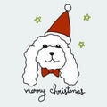 Poodle dog wear Santa hat, Merry Christmas cartoon vector illustration