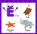 Letter e vector, alphabet e for eagle, echinoderms (starfish), elephant animals, english alphabets learn concept.