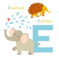 E letter animals set. English alphabet. Vector illustration Royalty Free Stock Photo