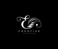 E letter luxury flourishes ornament logo