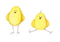 easter cartoon two yellow chickens