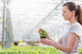 Side view of female botanist examining seedling in plant nursery