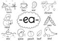 Ea digraph spelling rule black and white educational poster for kids with words. Learning phonics Royalty Free Stock Photo