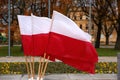 National flag of Poland.