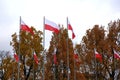 National flag of Poland.