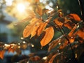 Each leaf, delicately outlined by the radiant backlight, reveals its unique contours and intricate patterns, Generative AI