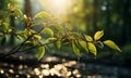 Each leaf, delicately outlined by the radiant backlight, reveals its unique contours and intricate patterns, Generative AI