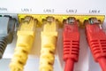 In each port a cable, a home router for access to the Internet and a cable of different color Royalty Free Stock Photo