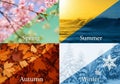 Each section visually embodies the characteristics of its respective season Royalty Free Stock Photo
