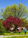 Different colours at Montreal Botanical Garden