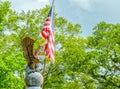 Eagel on globe with american flag trees and dark clouds