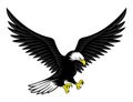 Flying bald eagle icon. Royalty Free Stock Photo