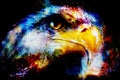 Eagle on abstract color background. Profile portratit.