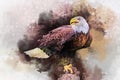 Eagle america bird watercolor painting symbol predator