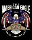 Eagle america freedom forever vector illustration Royalty Free Stock Photo