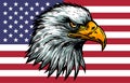 Eagle with American flag. Patriot eagle. Bald eagle vector illustration. Independence day. 4th July